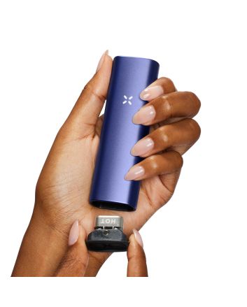 PAX PLUS Periwinkle